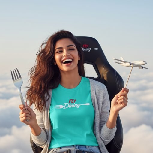FlyDining Miniature Aeroplane - Official SkyDining miniature aeroplane