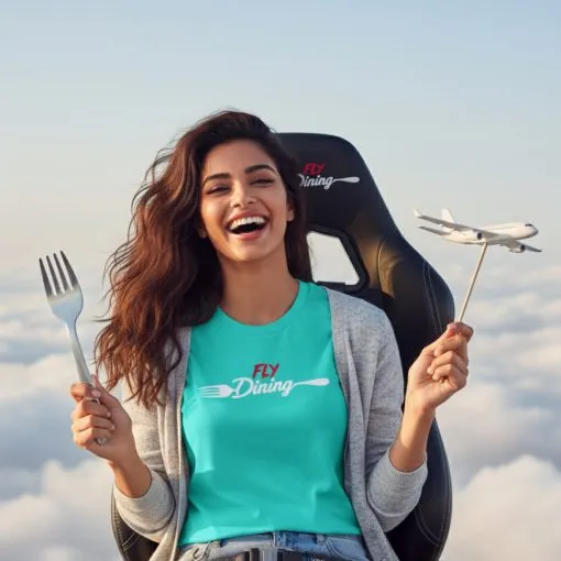 FlyDining Miniature Aeroplane - Official SkyDining miniature aeroplane